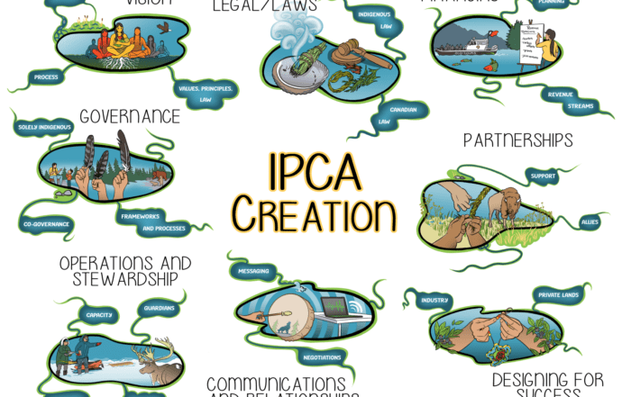 IPCA Creation Guide infographic