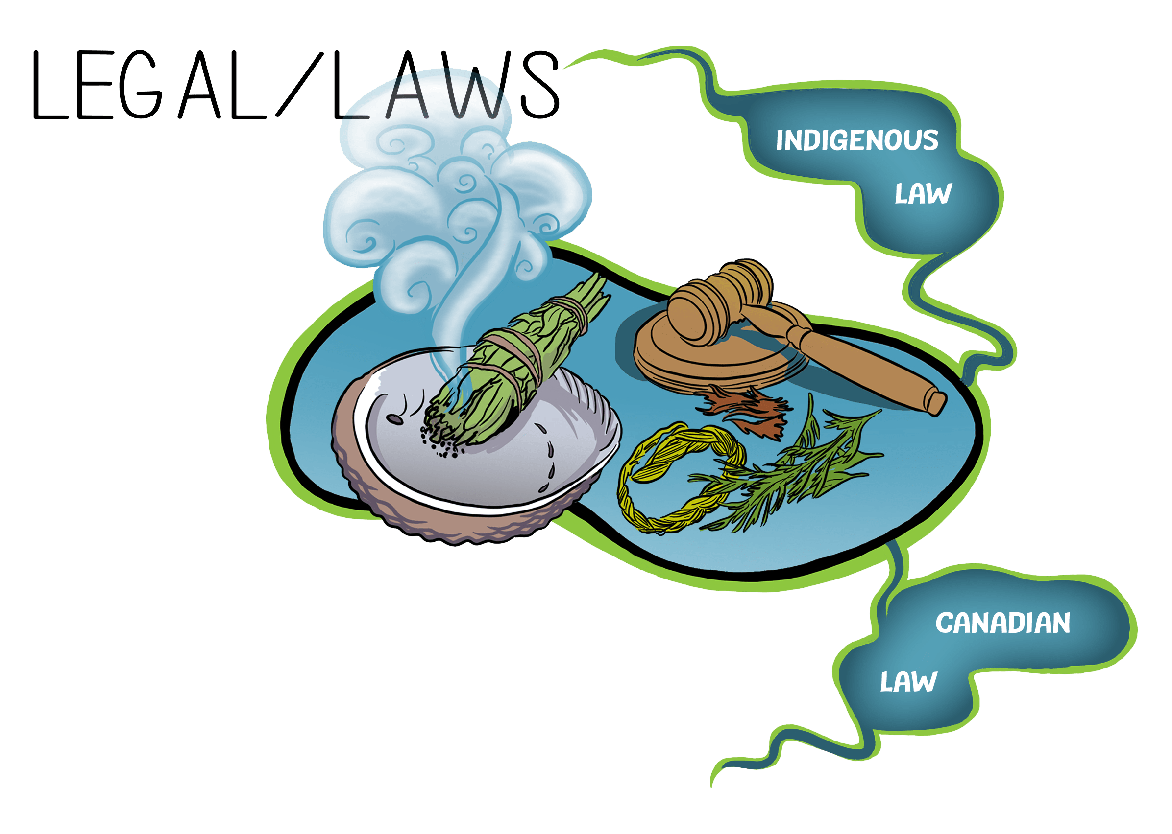 Legal/Laws infographic