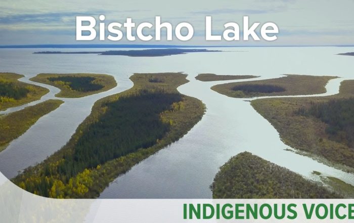Bistcho Lake