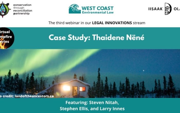 Case Study of Thaidene Nëné
