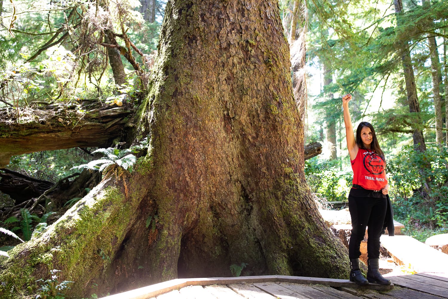 Photo of a person wearing an orange shirt with their hands in the air. They are standing beside a giant Red Cedar tree and look very small beside the large, moss covered tree.