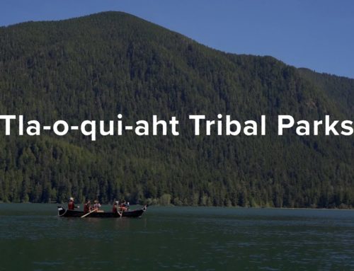 Tla-o-qui-aht Tribal Parks – Largest Intact ancient coastal rain forest on Vancouver island