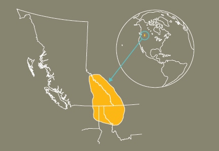 A map of the Province of British Columbia with a yellow area to represent where Ktunaxa territory is, in the Southeast of the province.