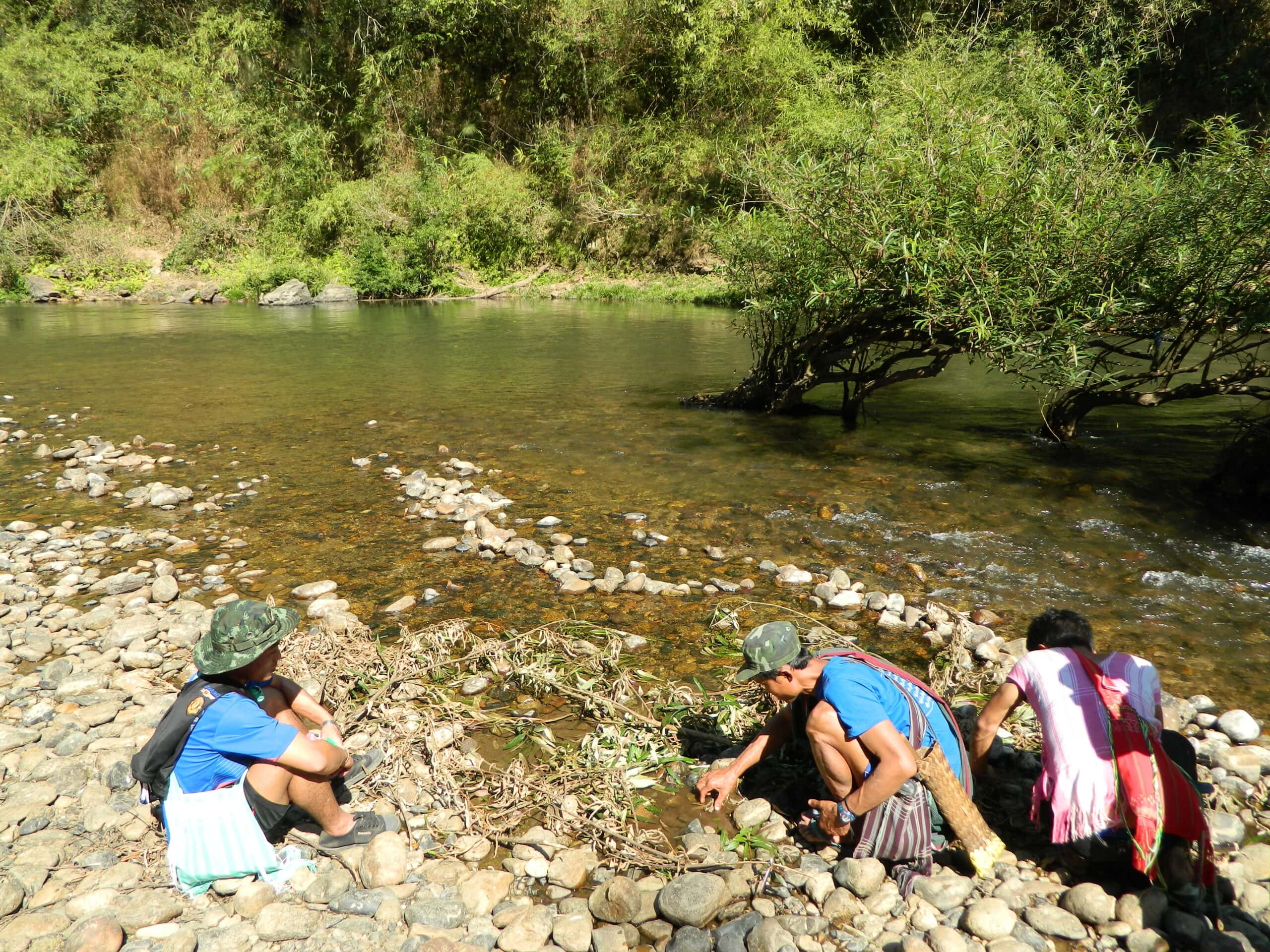 Indigenous Karen stewards maintain spawning channels for endemic Nya Nah fish