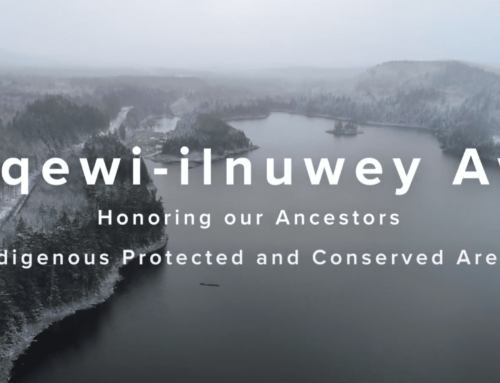 Sa’qewi-ilnuwey Awti IPCA – Reconciliation and stewardship through land conservation