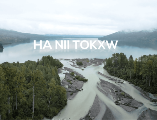 Ha Nii Tokxw: Our Food Table