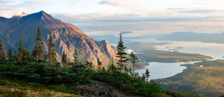 Scenic Mountain Range, Meandering Streams, and Towering Pine Trees in Canada's Northern Territories