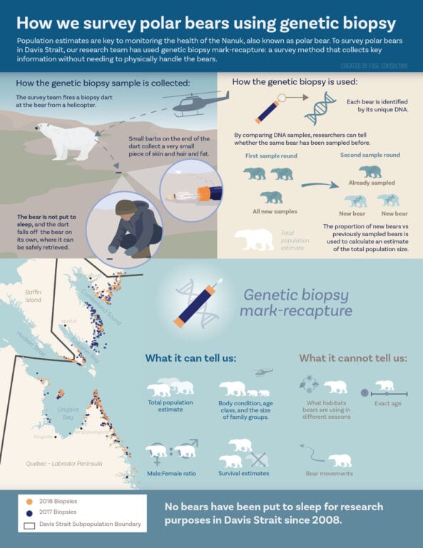 Survey results estimating the abundance of the Davis Strait Polar Bear Subpopulation