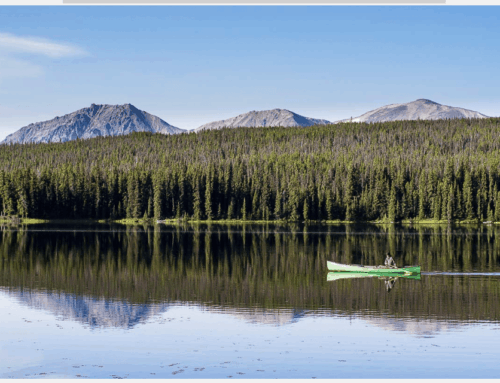 Exploring Pathways for Indigenous Governance in IPCAs