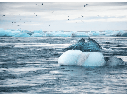 Re-centring on the Land – Towards an Agenda for Indigenous-led Climate Policy