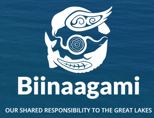 Biinaagami