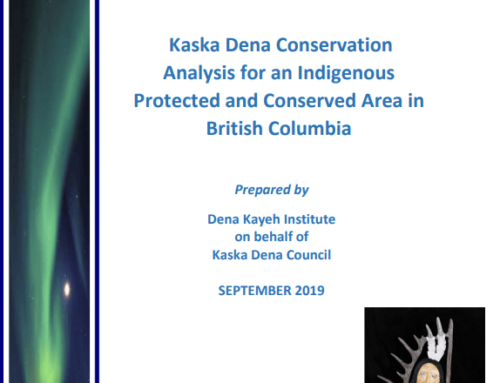 Kaska Dena Conservation Analysis for an Indigenous Protected and Conserved Area in British Columbia