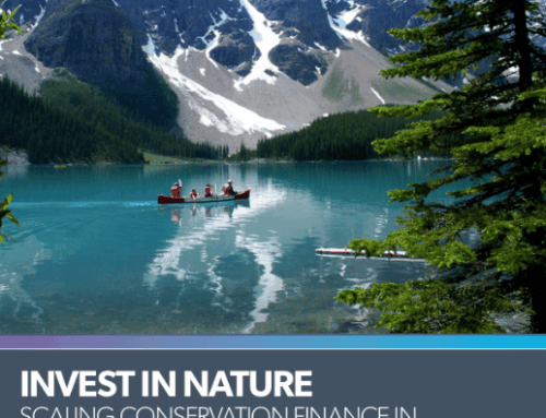 Invest in Nature: Scaling Conservation Finance in Canada for a Nature-Smart Economy