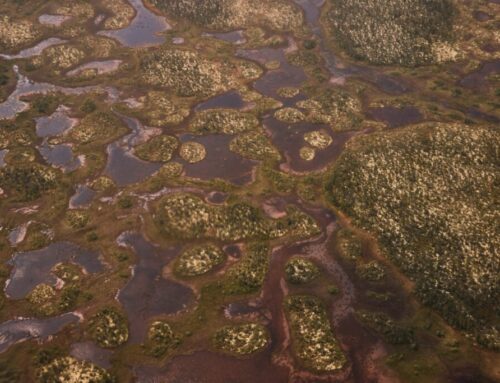 Inside the ambitious Indigenous-led plan to protect northwestern Ontario’s “Breathing Lands”