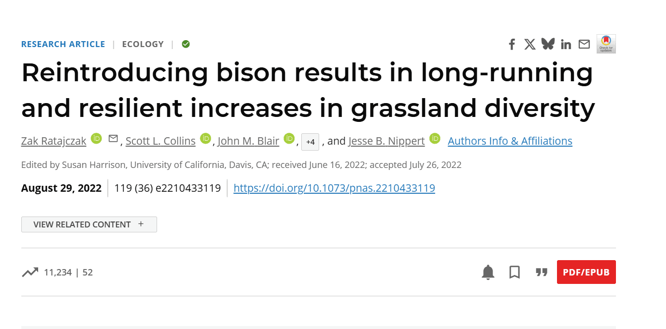 bison