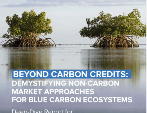 Beyond Carbon Credits: Demystifying Non-carbon Market Approaches for Blue Carbon Ecosystems