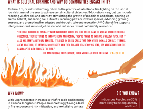 Indigenous Fire Stewardship Infosheet